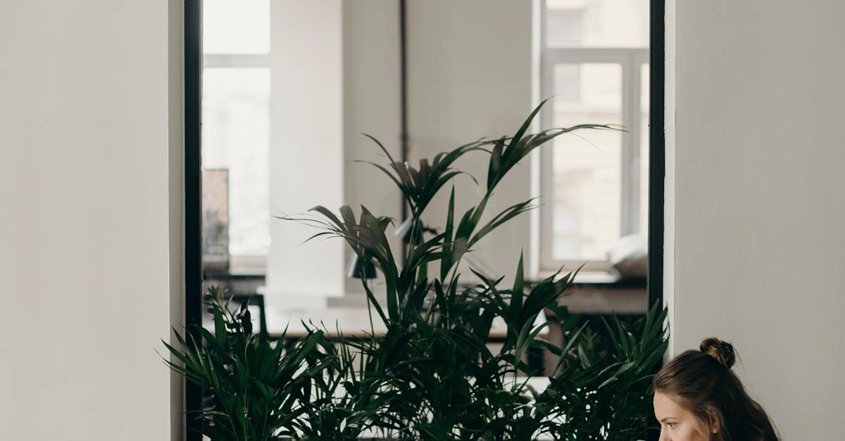 Конструктивный подход к проблемам немецких игорных сайтов онлайн